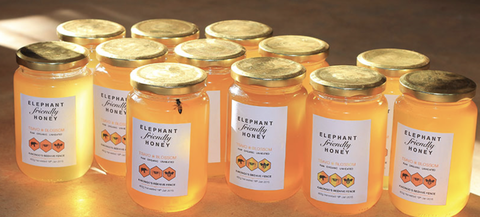 Elephant-Friendly Honey
